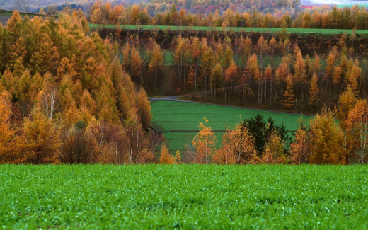 591944 (a): :1920x1200